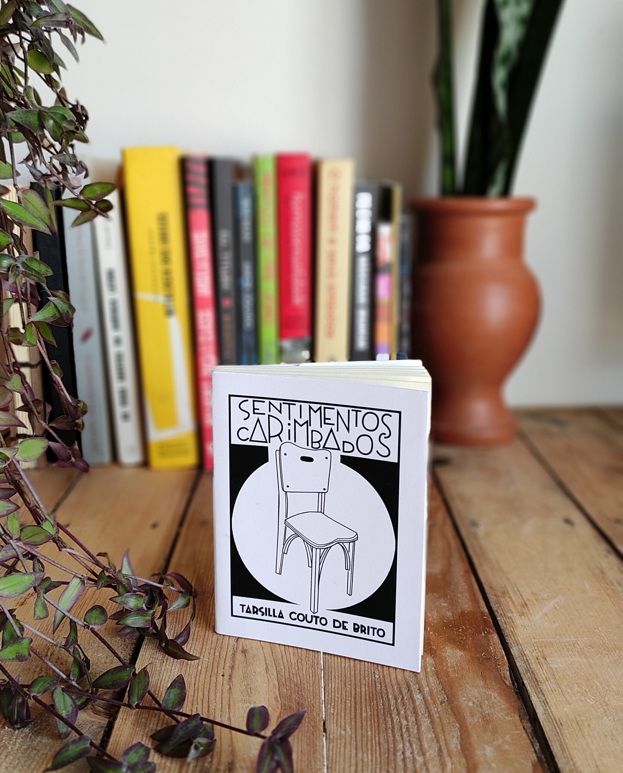 Goiânia Clandestina