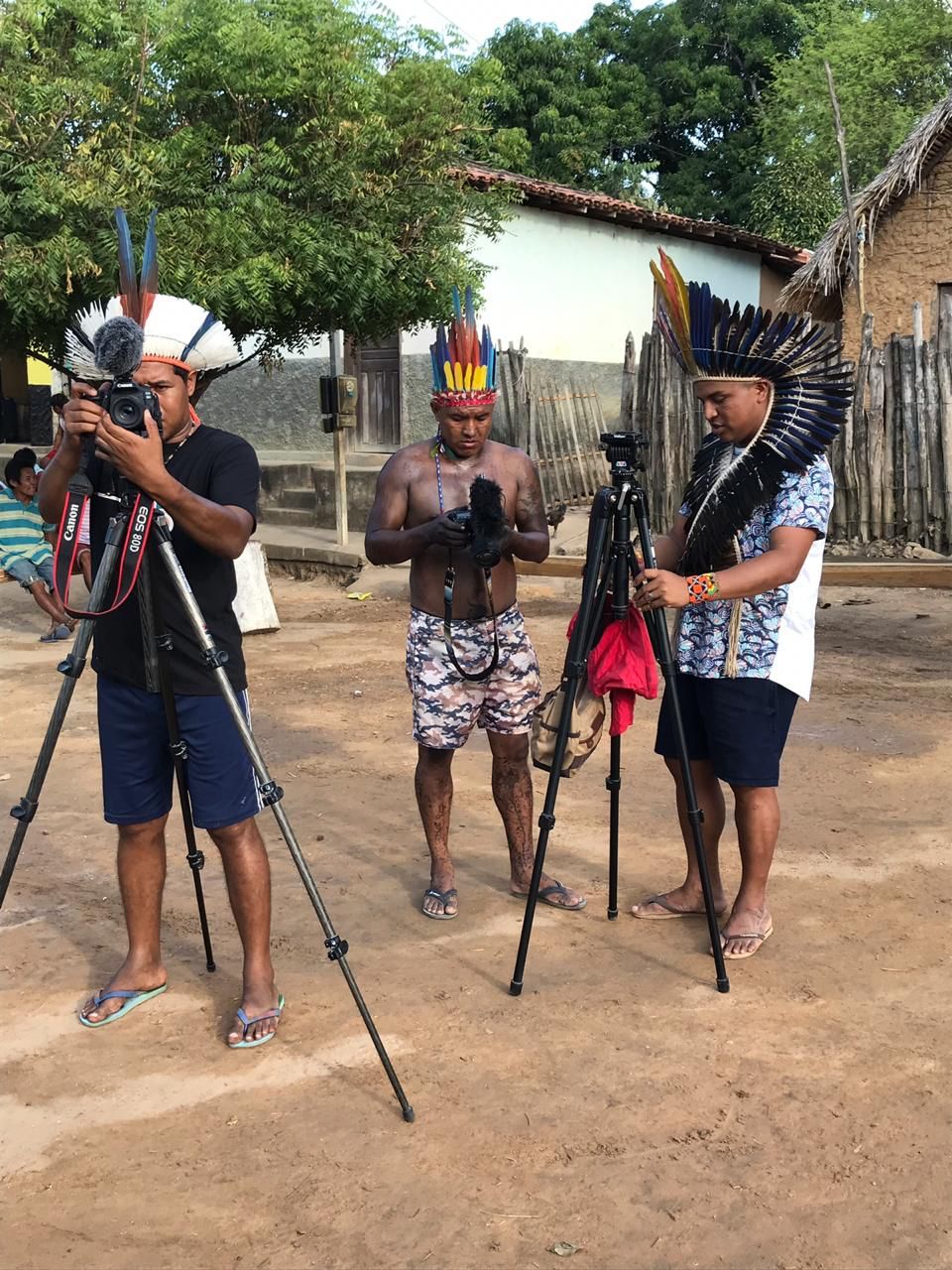 diversidade indígena