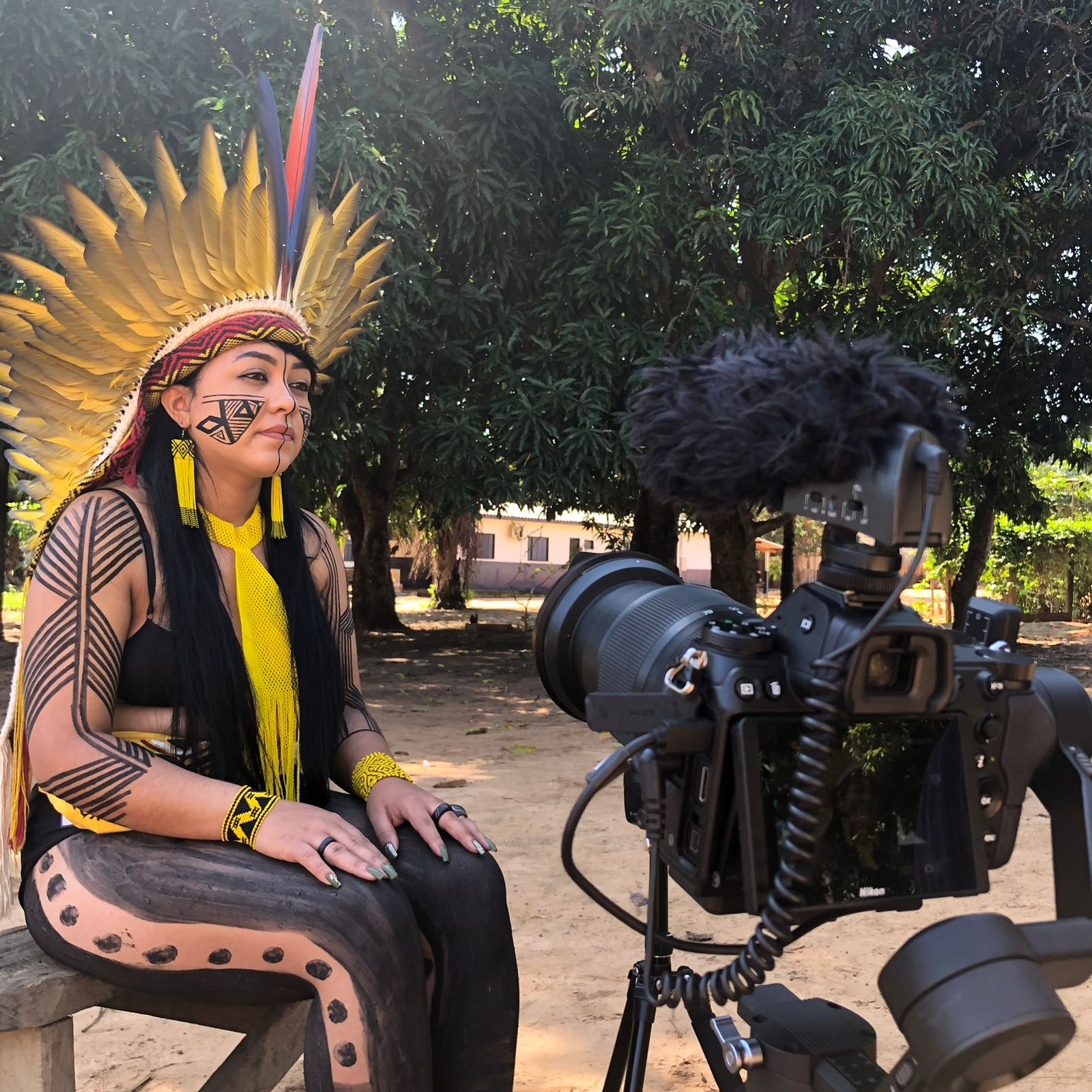 Diversidade indígena