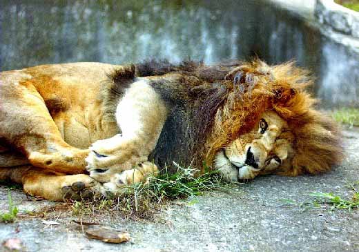 Santuário Rancho dos Gnomos