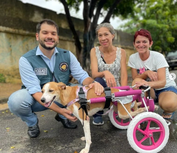 Paulinha Protetora has been rescuing dogs and cats from the streets of Fortaleza since 2017