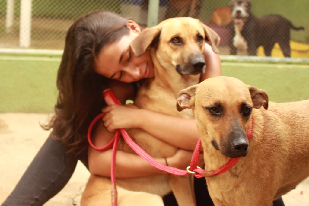 Voluntários promovem o bem-estar animal em abrigo público do Rio de Janeiro
