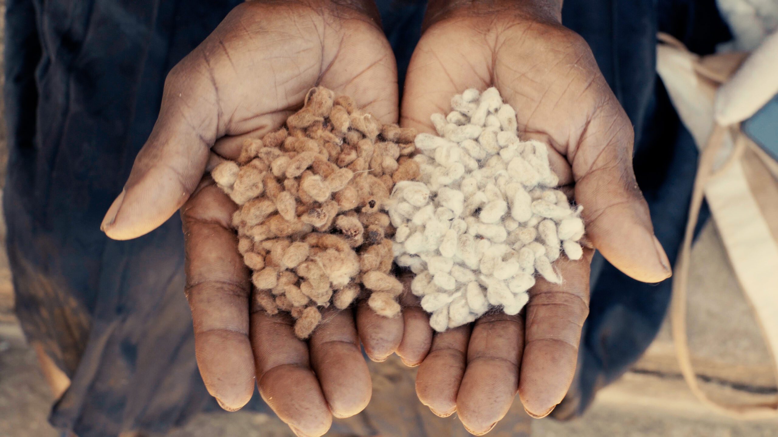 Mulheres do Jequitinhonha valoriza a cultura do Vale